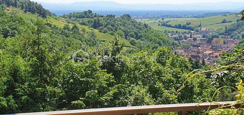 Propriété - 312 m² - 7 pièces