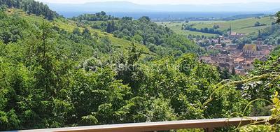 Propriété - 312 m² - 7 pièces