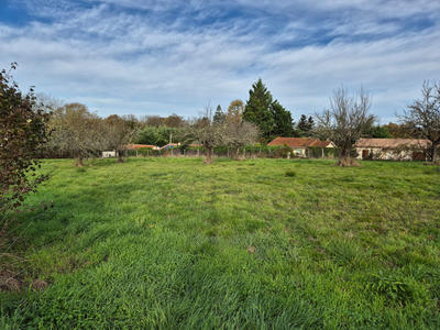 Terrain - 1 523 m²