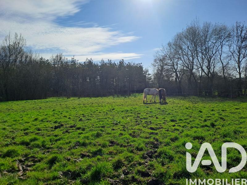 Maison - 175 m² - 6 pièces