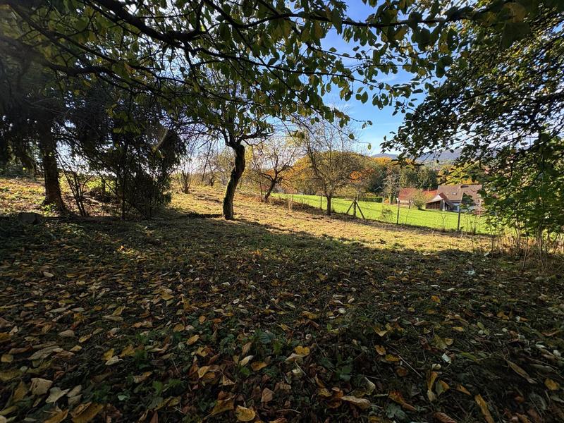 Maison - 114 m² - 6 pièces