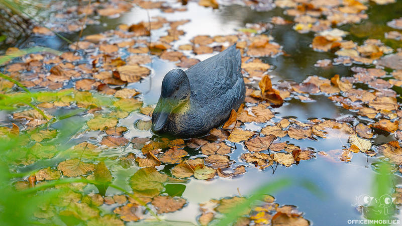 Maison - 250 m² - 6 pièces