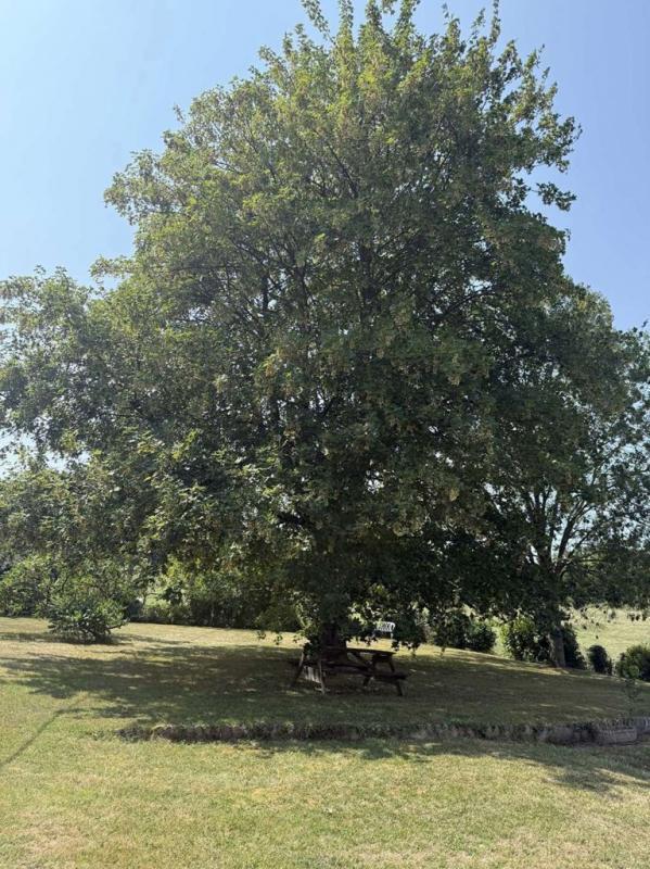 Maison de campagne - 174 m² - 7 pièces