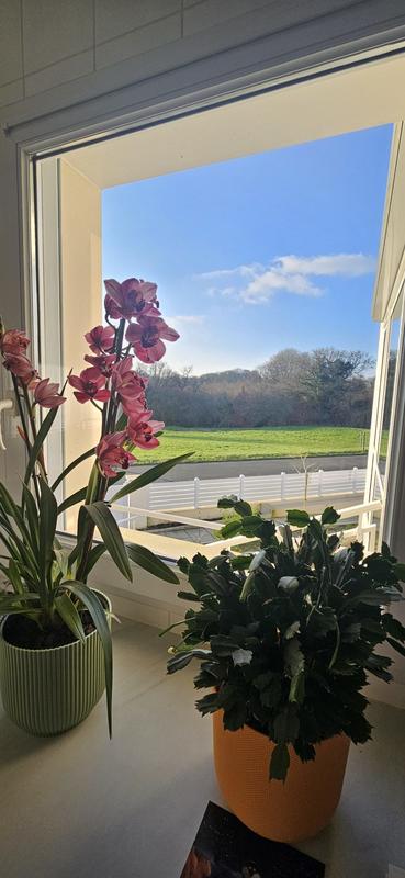 Maison contemporaine - 149 m² - 5 pièces