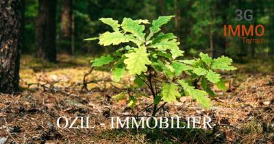 Terrain constructible - 1 064 m²