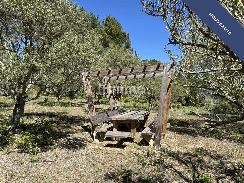 Terrain - 13 051 m²