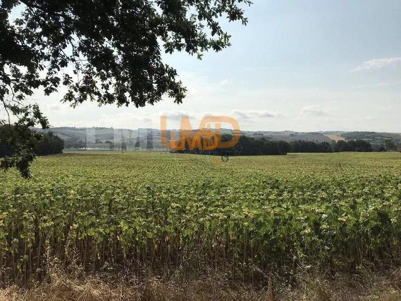 Maison - 282 m² - 11 pièces