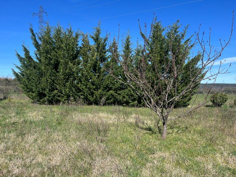 Terrain de loisirs - 2 600 m²