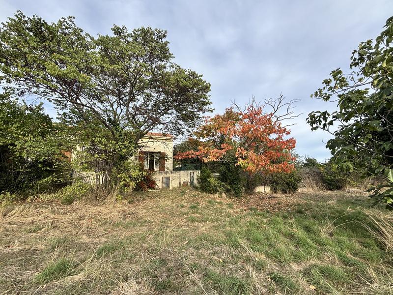 Propriété viticole - 138 m² - 6 pièces