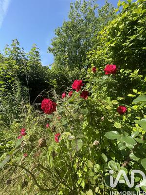 Maison de campagne - 44 m² - 2 pièces