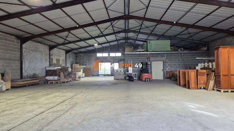 Local d'activités - 1 248 m²