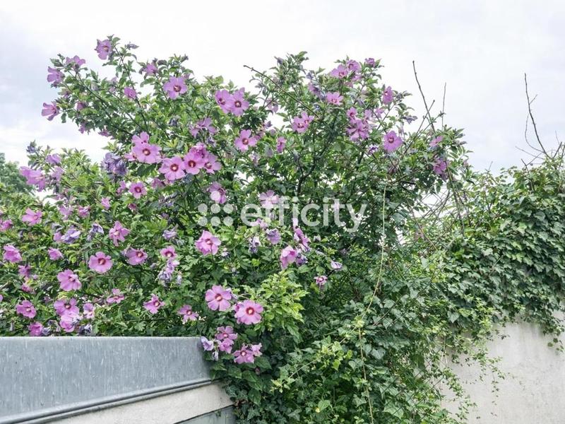 Maison de bourg - 220 m² - 7 pièces