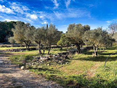 Terrain constructible - 1 412 m²