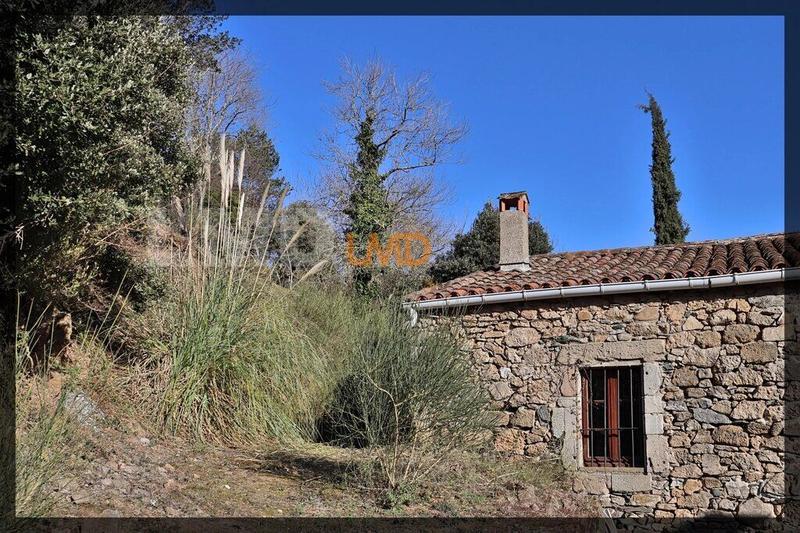 Maison en pierre - 140 m² - 5 pièces