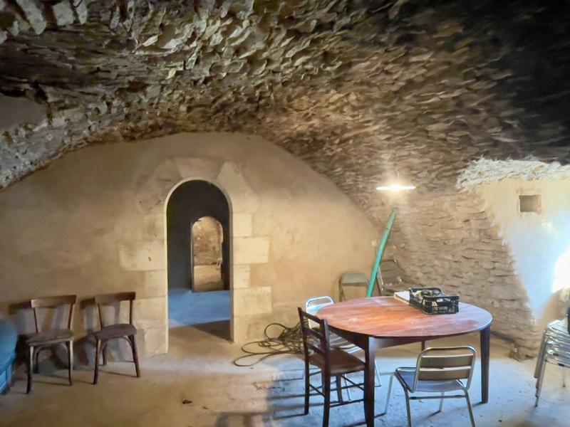 Château - 600 m² - 6 pièces