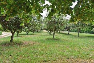 Maison - 131 m² - 5 pièces