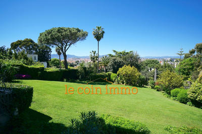 Appartement - 50 m² - 3 pièces