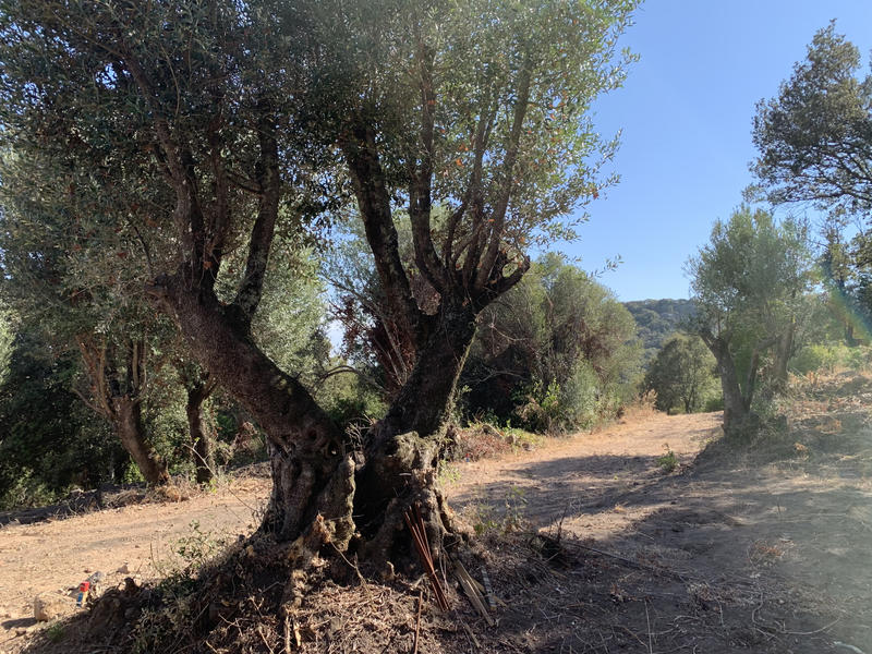 Villa - 102 m² - 4 pièces