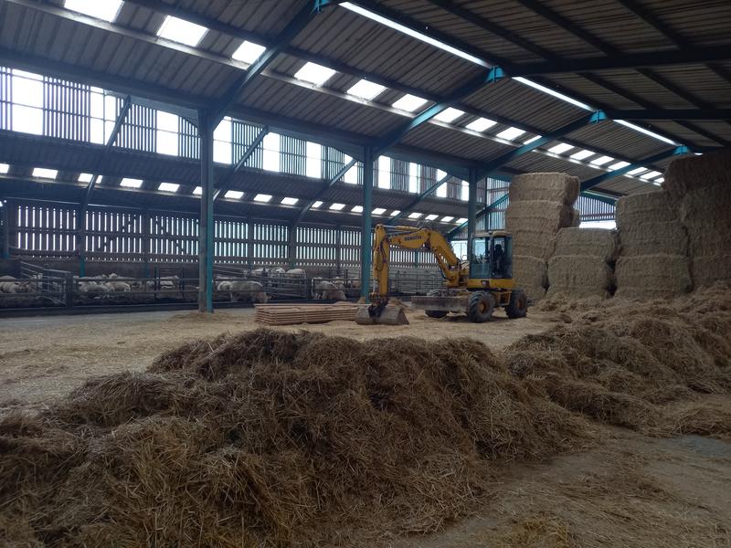 Secrets d’élevage : une immersion grandeur nature à la ferme