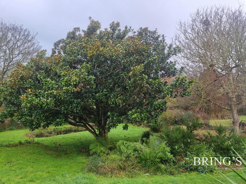 Maison contemporaine - 163 m² - 5 pièces