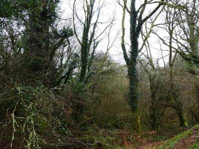 Terrain agricole - 13 922 m²