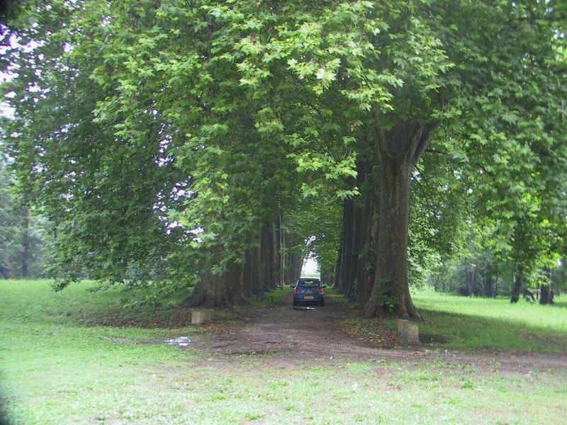 Château - 1 043 m² - 7 pièces