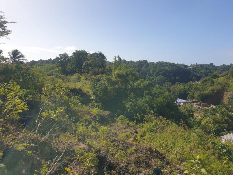 Terrain constructible - 2 000 m²