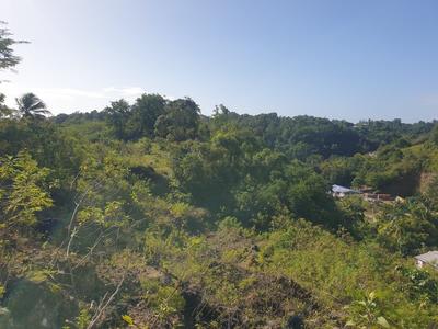 Terrain constructible - 2 000 m²