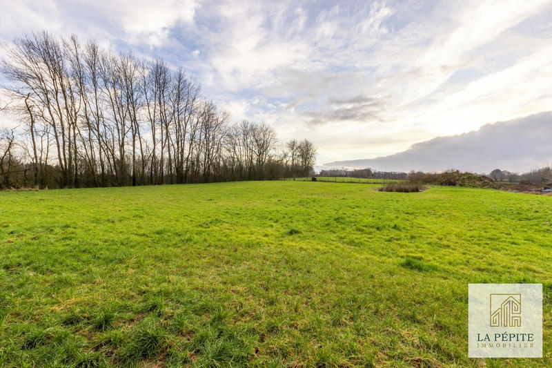 Maison - 240 m² - 8 pièces