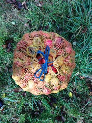 Des Bouteilles à l'Amère