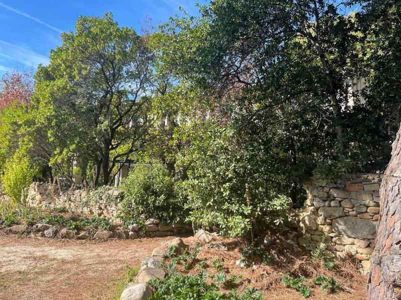 Maison de maîtres - 900 m² - 14 pièces