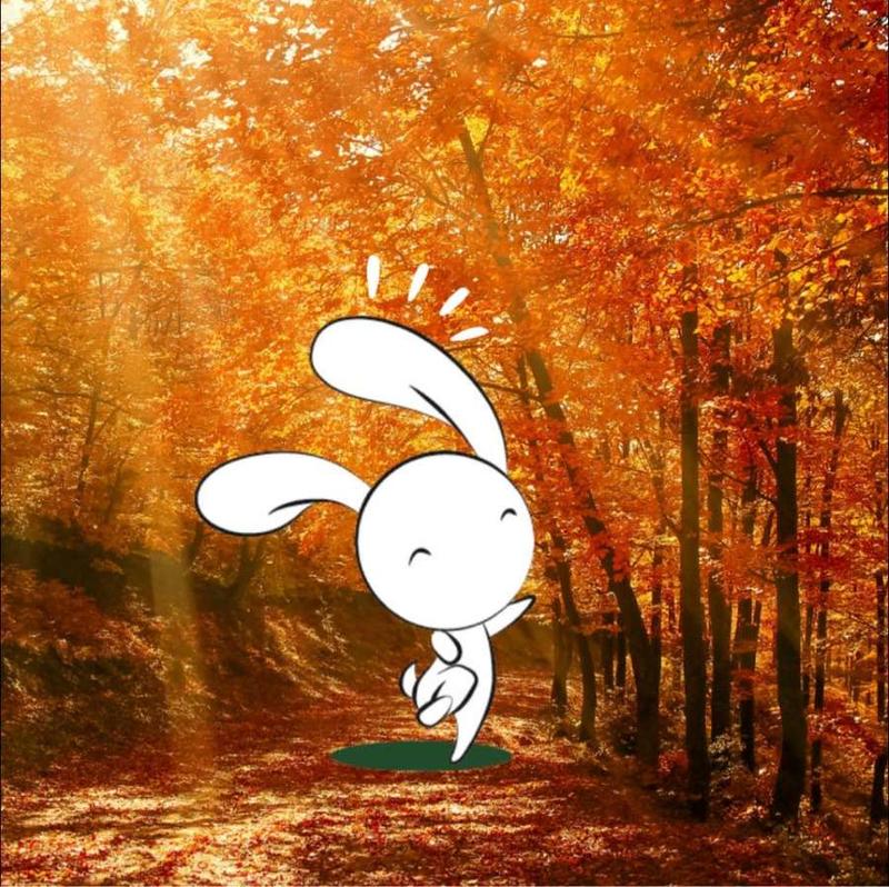 Animation nature en famille : Bye bye les moustiques