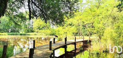 Terrain - 12 820 m²