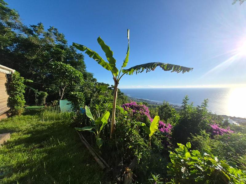 Terrain - 10 386 m²