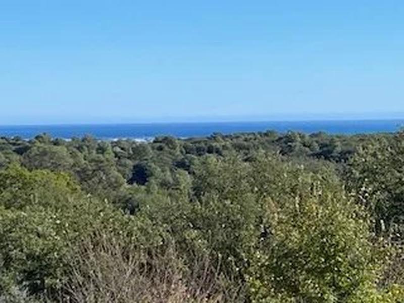 Appartement - 92 m² - 4 pièces