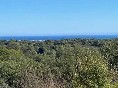 Appartement - 92 m² - 4 pièces