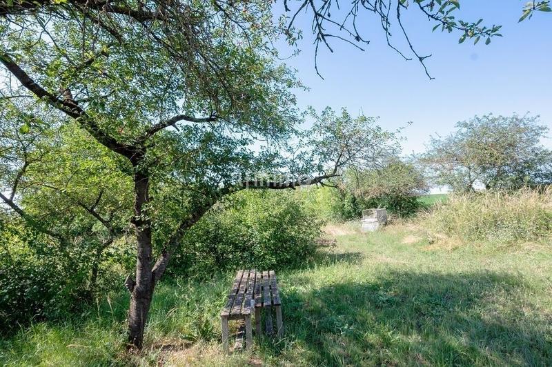 Terrain de loisirs - 2 550 m²