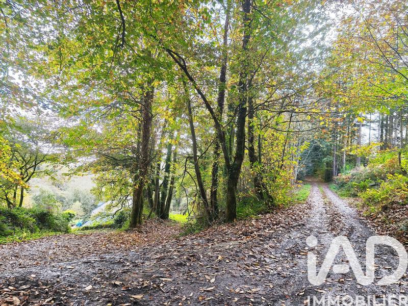 Maison - 240 m² - 6 pièces