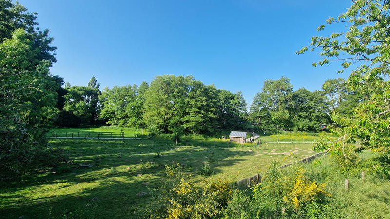 Maison - 123 m² - 4 pièces