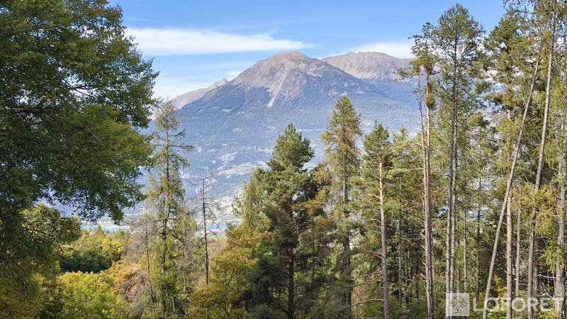 Maison - 149 m² - 6 pièces