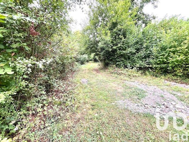 Terrain - 17 696 m²