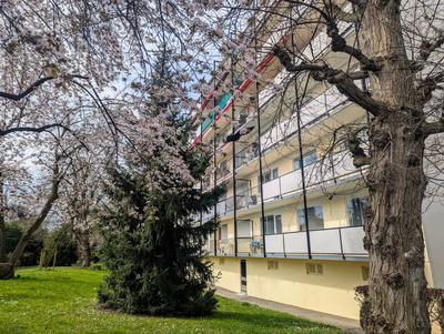 Appartement - 85 m² - 3 pièces