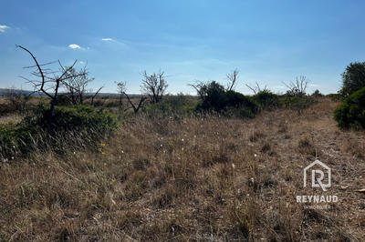 Terrain agricole - 5 600 m²