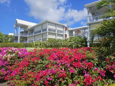 Studio - 41 m² - 1 pièce