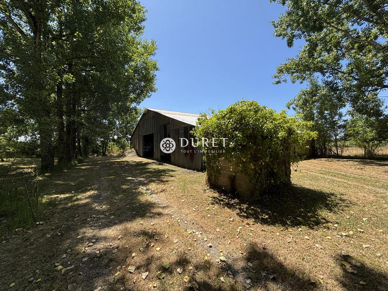 Maison ancienne - 174 m² - 6 pièces