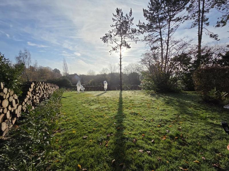 Pavillon - 194 m² - 7 pièces