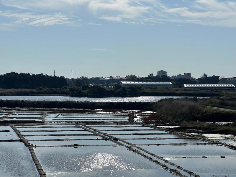 Maison - 158 m² - 7 pièces