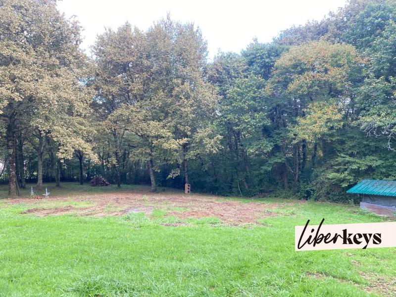 Terrain - 12 800 m²