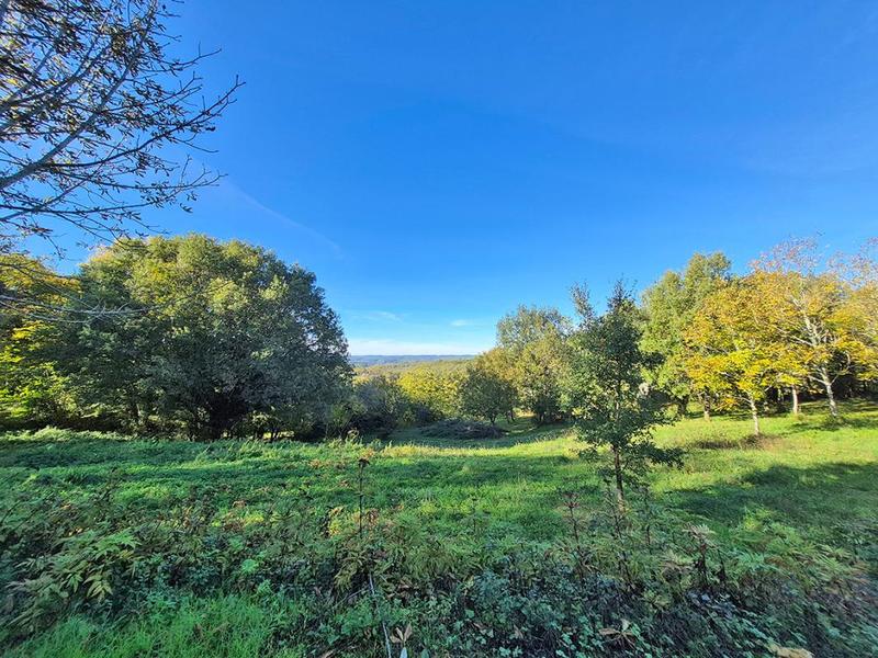 Terrain constructible - 8 085 m²