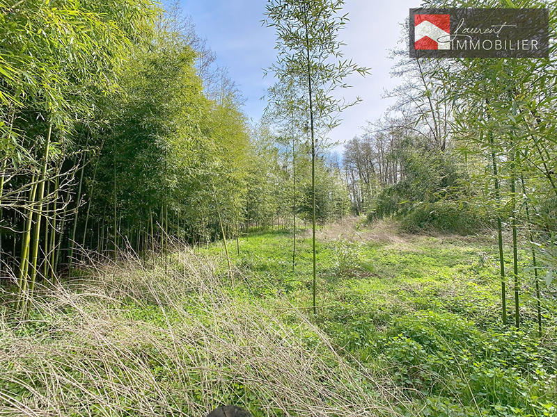 Maison - 139 m² - 4 pièces